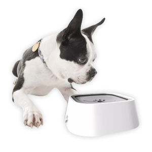 Puppies Lebegő Itatótál