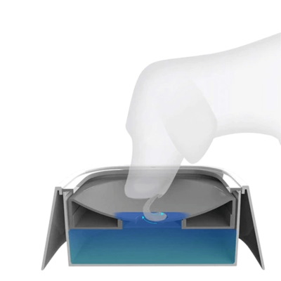 Vizet-lefetyelő-kutyus